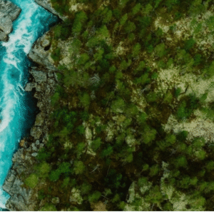 Restoring the Living Waters